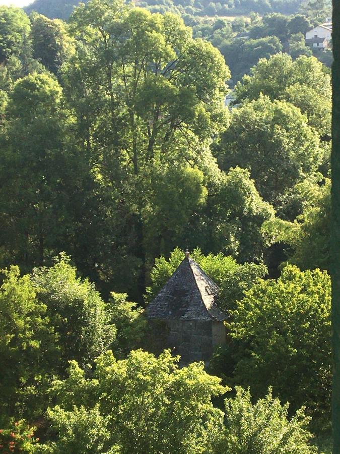 La Maison Sur La Riviere Panzió Vabre Kültér fotó