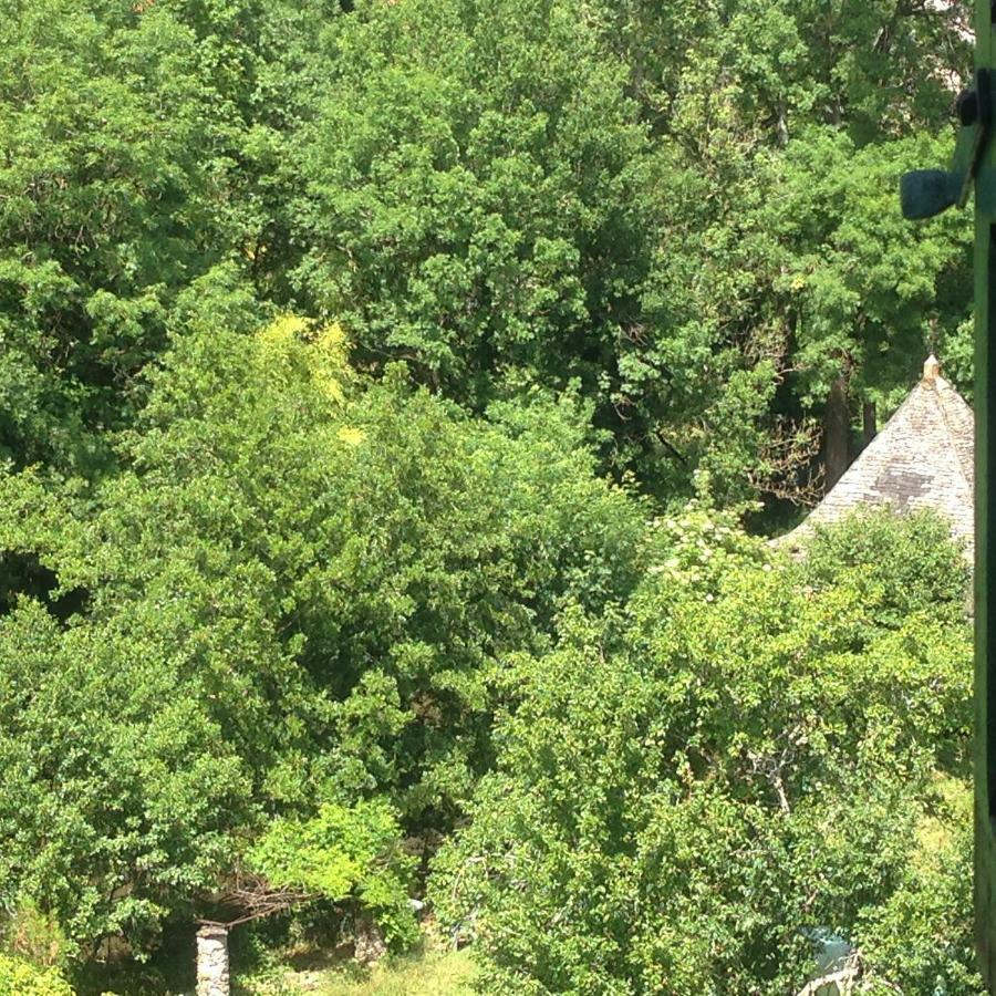 La Maison Sur La Riviere Panzió Vabre Kültér fotó